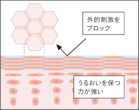 健やかな角層状態