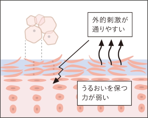 健やかな角層状態